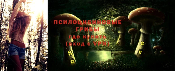 тгк Алексин