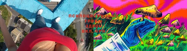 тгк Алексин