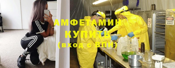 индика Алексеевка
