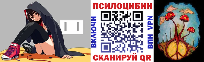 Галлюциногенные грибы Psilocybine cubensis  Олонец 